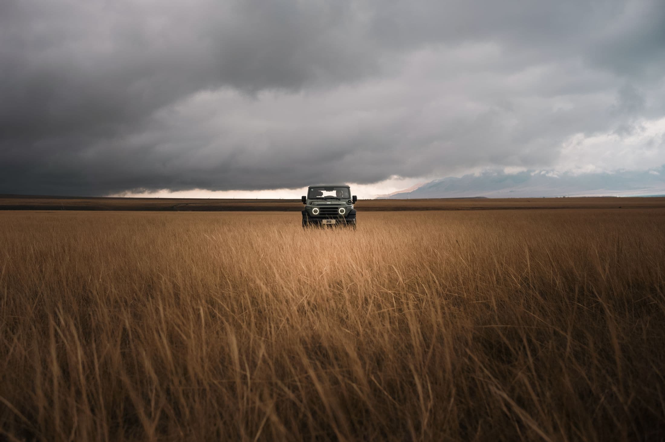 A lone 212 T01 crossing open grassland under a heavy sky