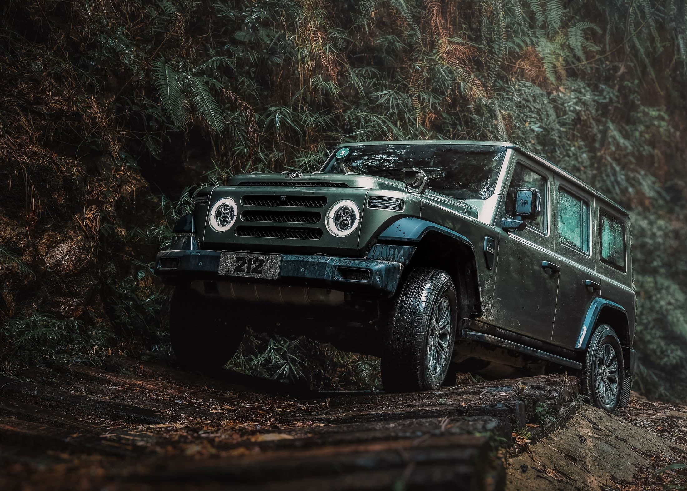 Forest climb: Low range over wet roots